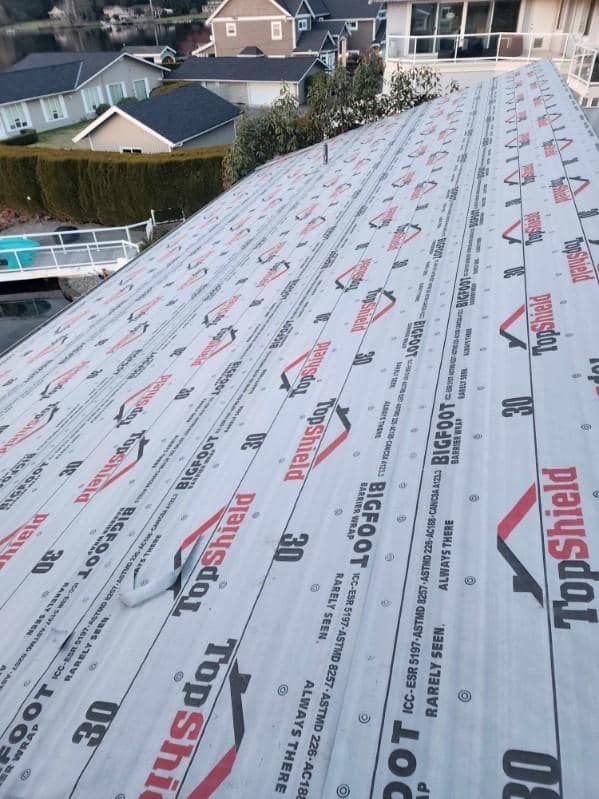 A roof with a lot of top shield on it