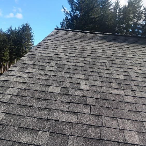 A roof with a lot of shingles and trees in the background