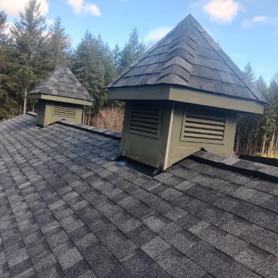 There are two chimneys on the roof of a building.
