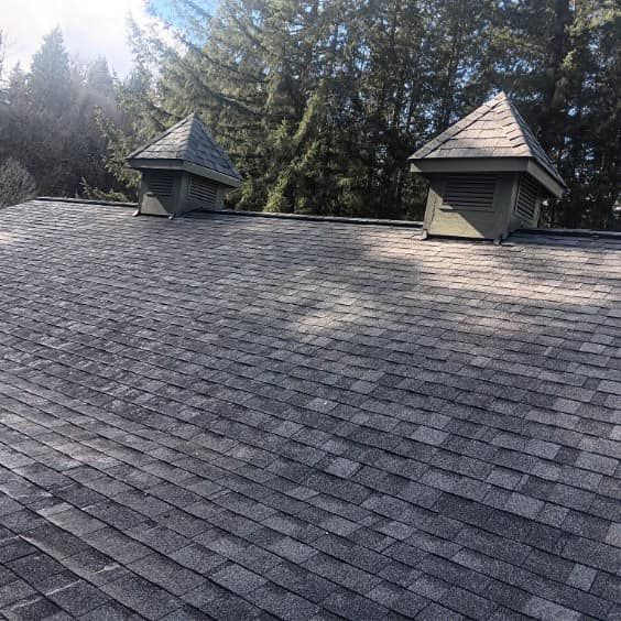 A roof with two chimneys on it and trees in the background.