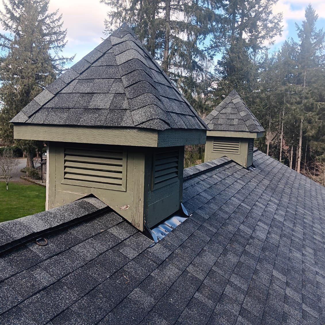 A roof with a few chimneys on it and trees in the background