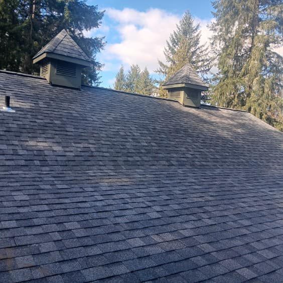 A roof with two chimneys on it and trees in the background.