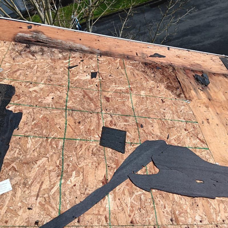 A roof with a lot of pieces of plywood on it