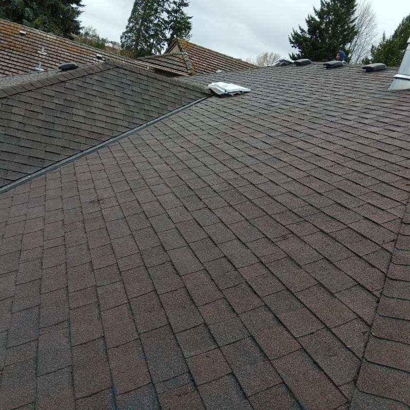A close up of a roof with shingles on it.