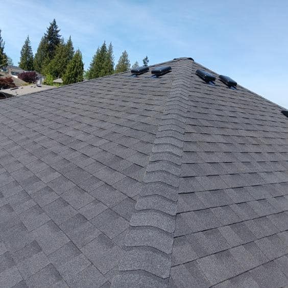 A close up of a roof with trees in the background