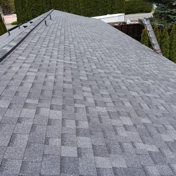 A close up of a roof with shingles on it.