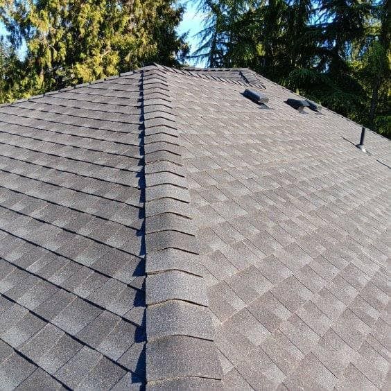 A close up of a roof with trees in the background