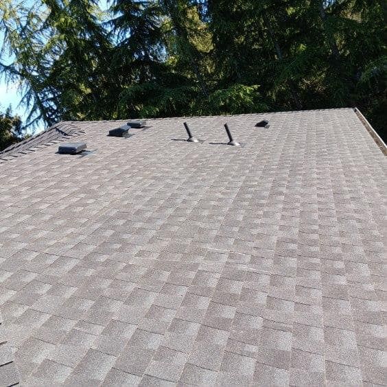 A close up of a roof with trees in the background.