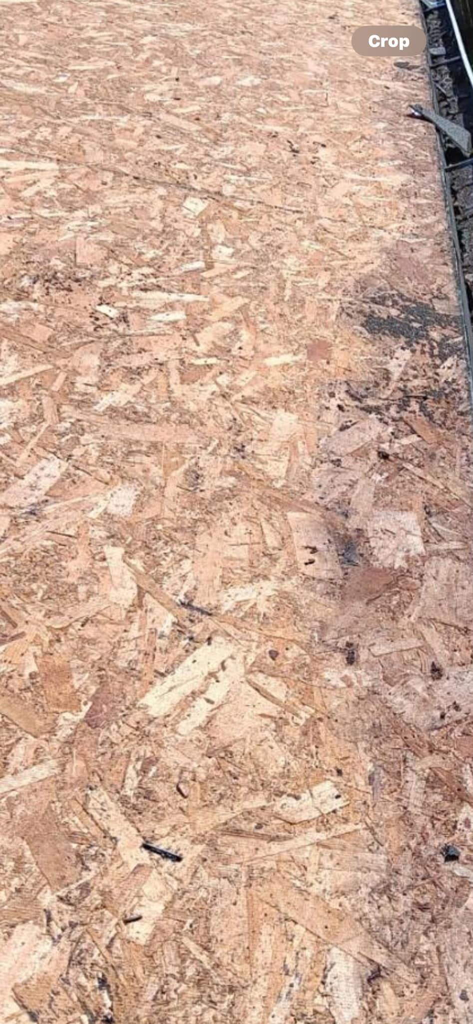 A close up of a piece of wood on the ground.