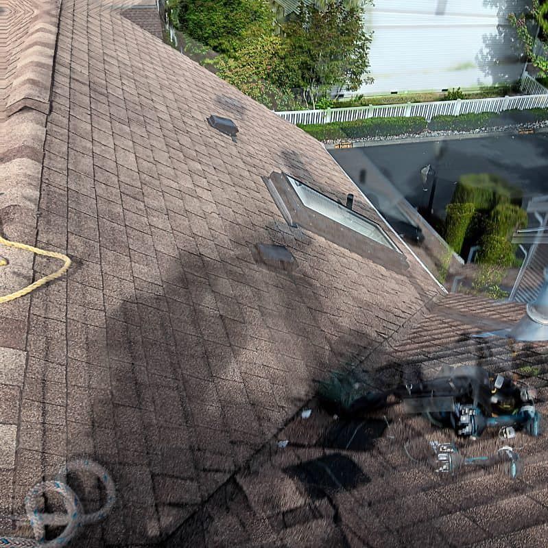 A roof with a skylight and a ladder on it
