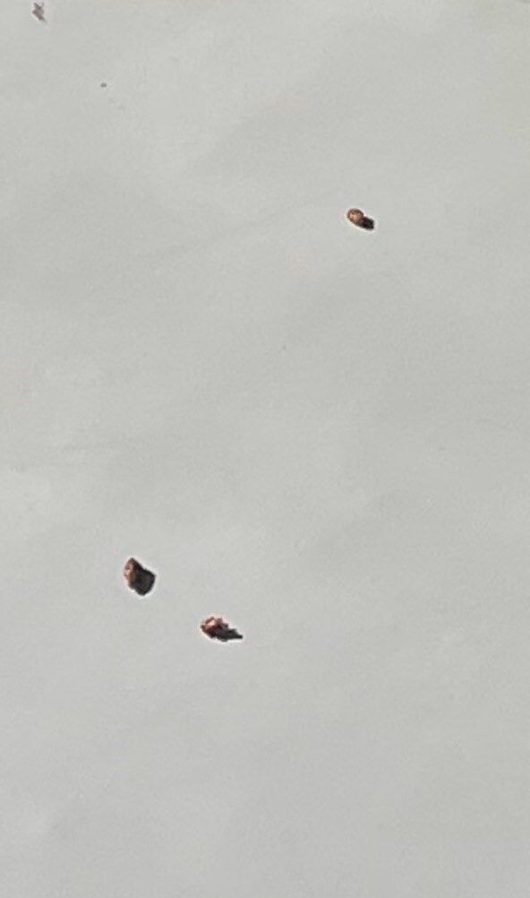 A group of rocks sitting on top of a white surface.
