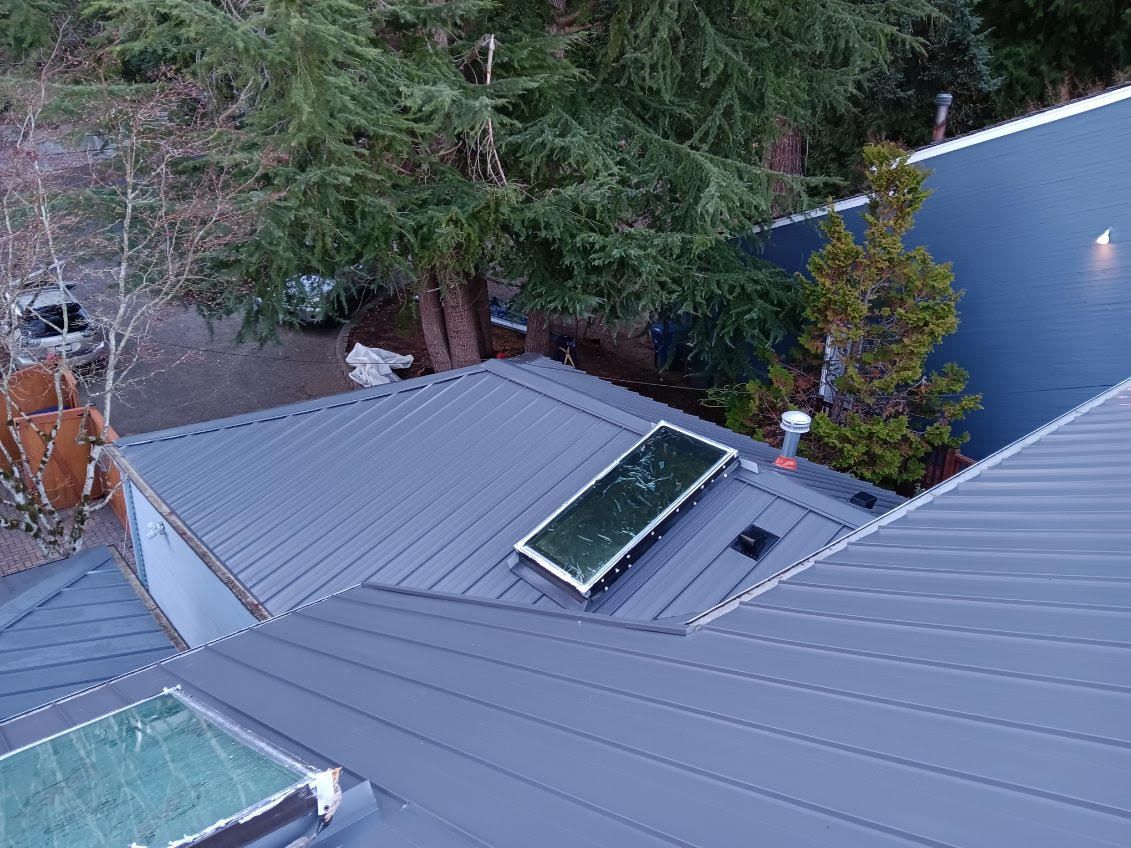 An aerial view of a roof with a skylight and trees in the background.