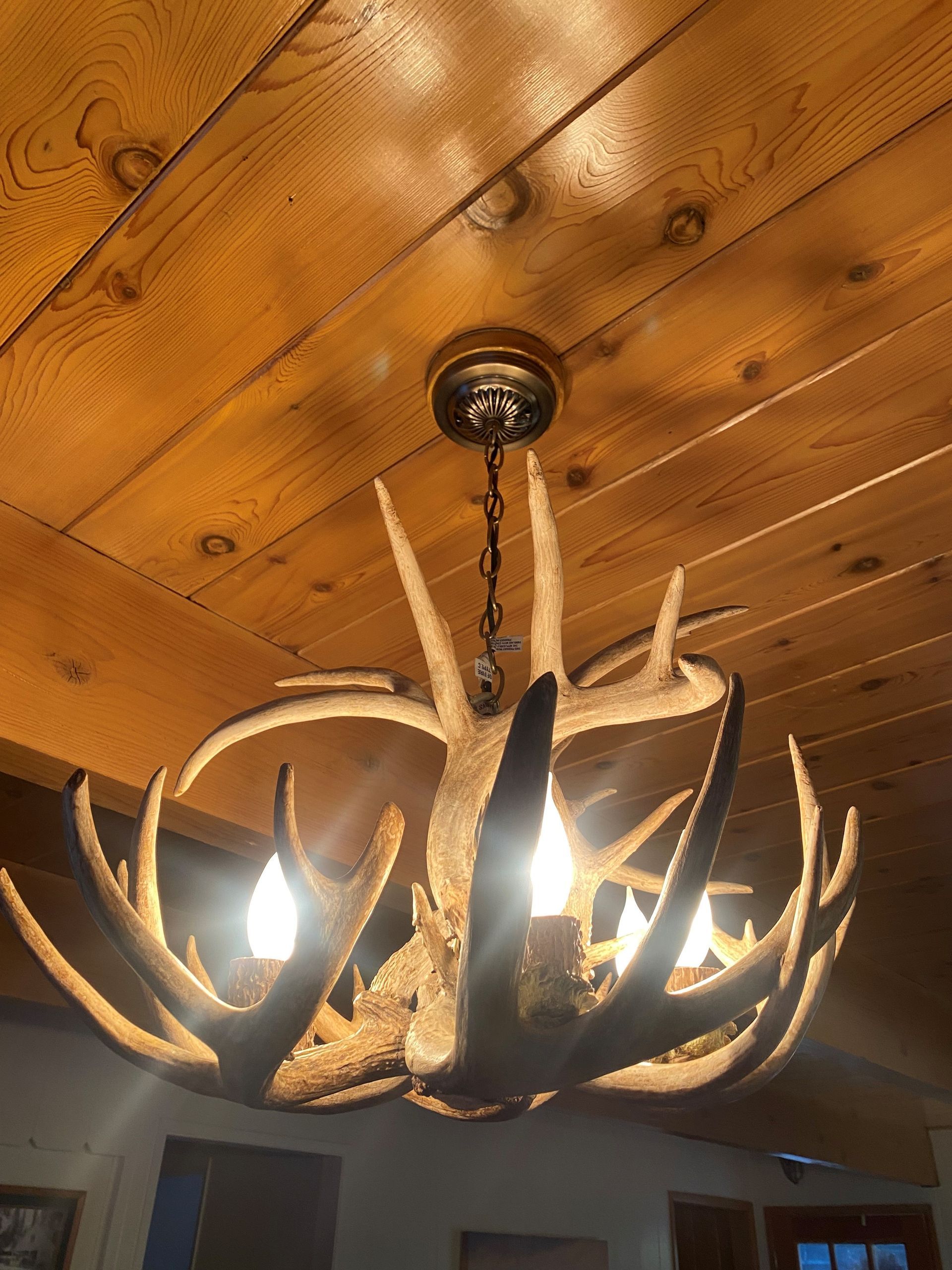 A chandelier made of deer antlers is hanging from the ceiling.
