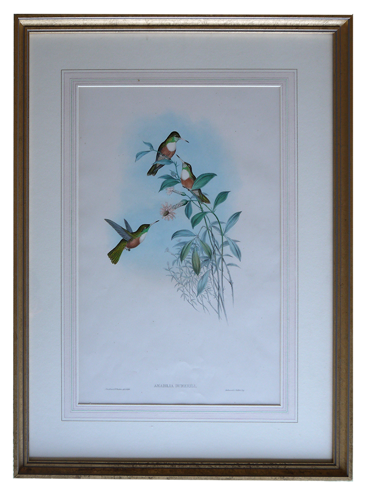 Sage Hen