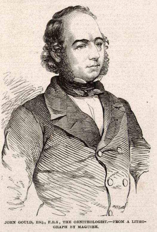 A black and white drawing of a man named john gotlin