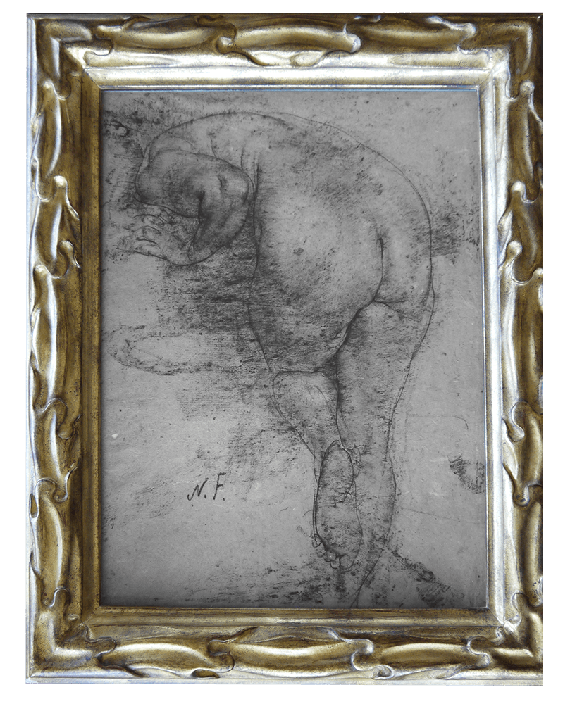 image of nude woman from the back