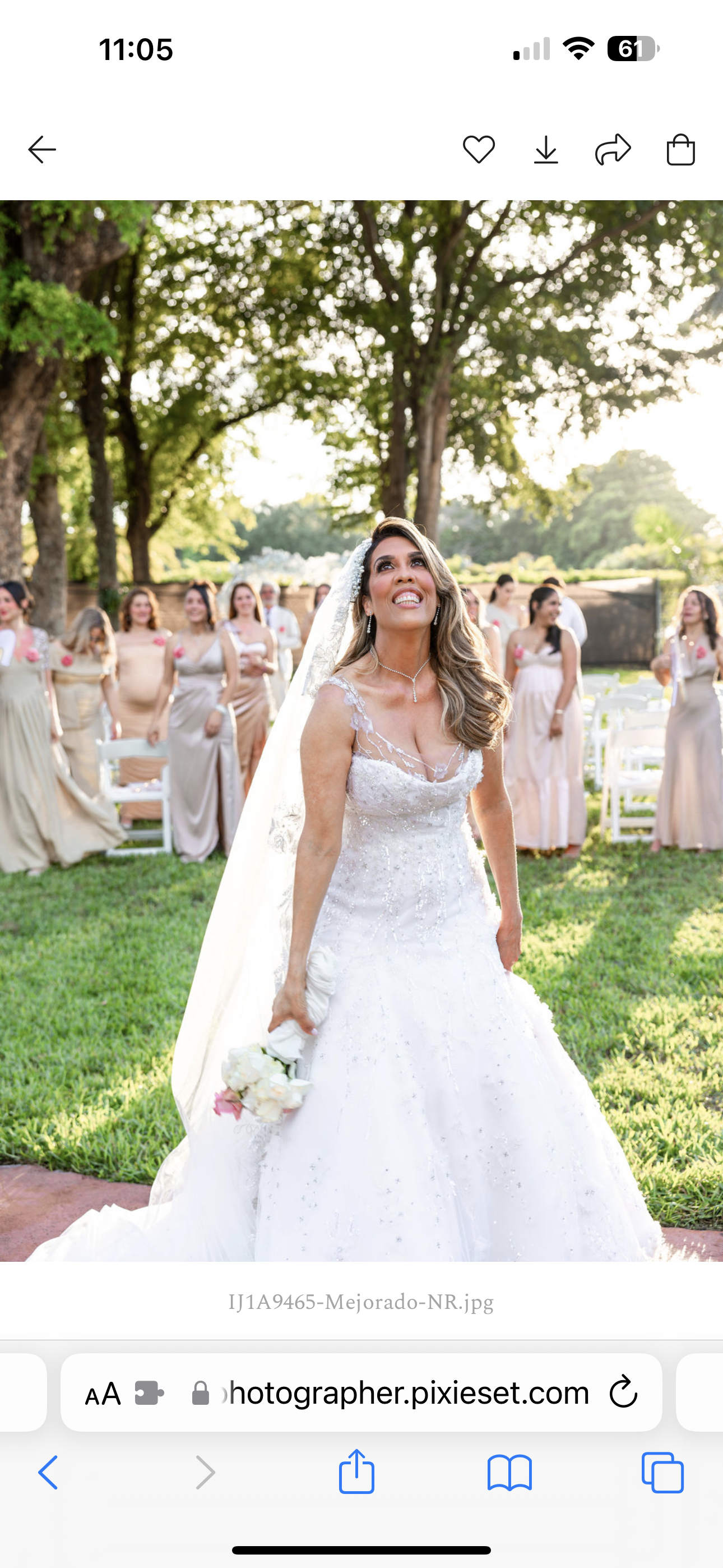 A bride in a wedding dress is standing in the grass with her bridesmaids.