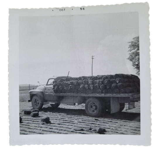original OGS work truck laying sod