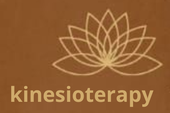 Kinesioterapy logo