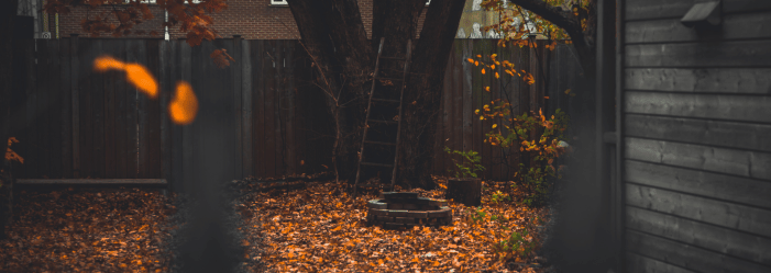 Les nuisibles en automne