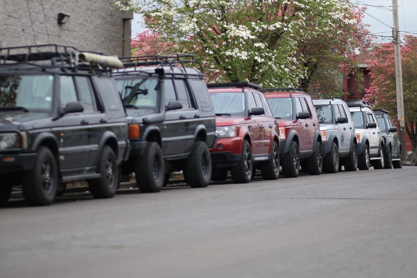 A line of several SUVs, including black and red models, parked along a road with trees in the background. | West Coast Overland