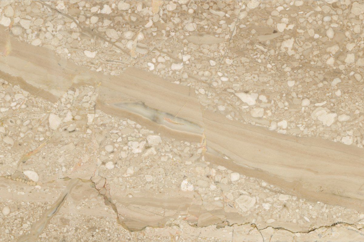 Breccia sarda - daino Reale