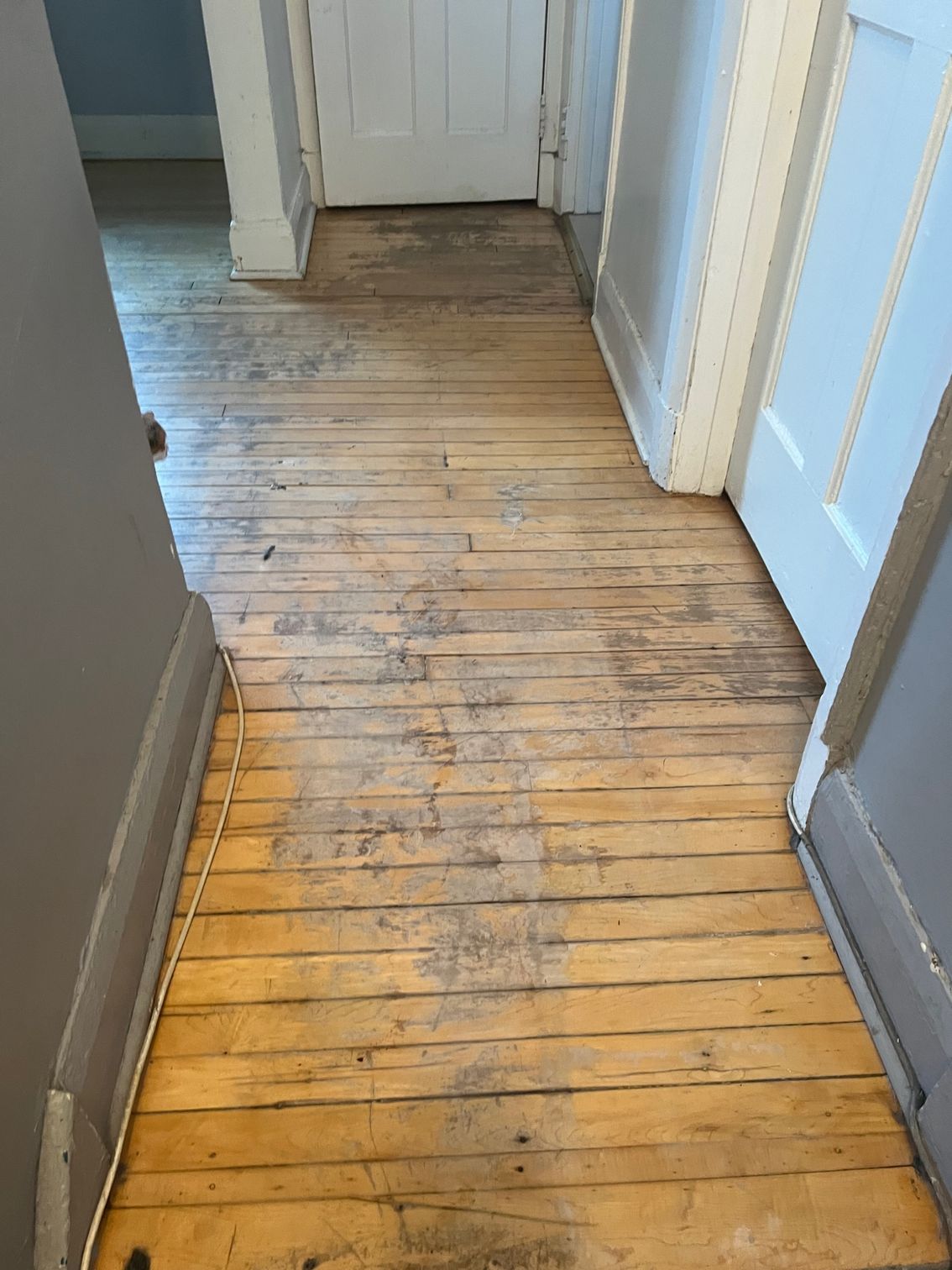 A hallway with a wooden floor and white doors.