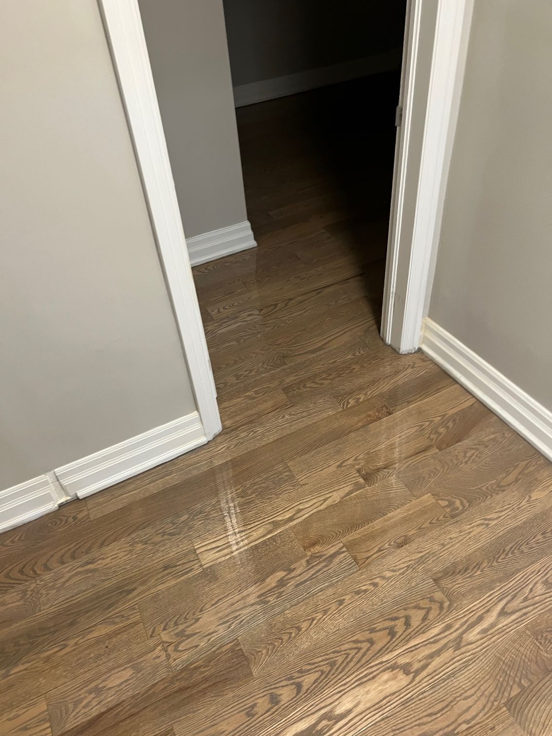 A wooden floor in a room with a door open.