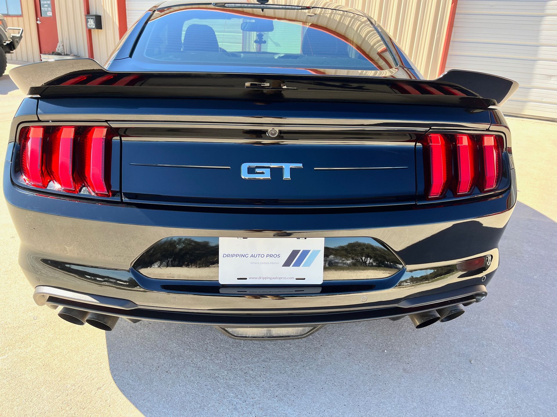 Mustang GT Revivify Coating