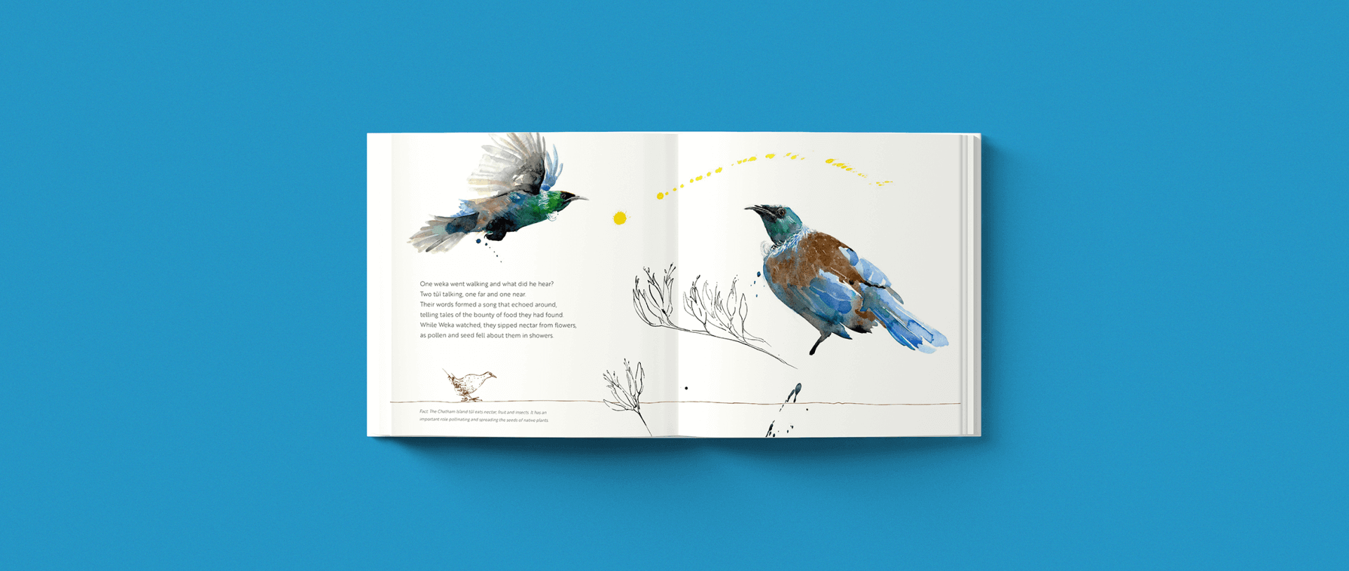 One Weka Went Walking by Kate Preece