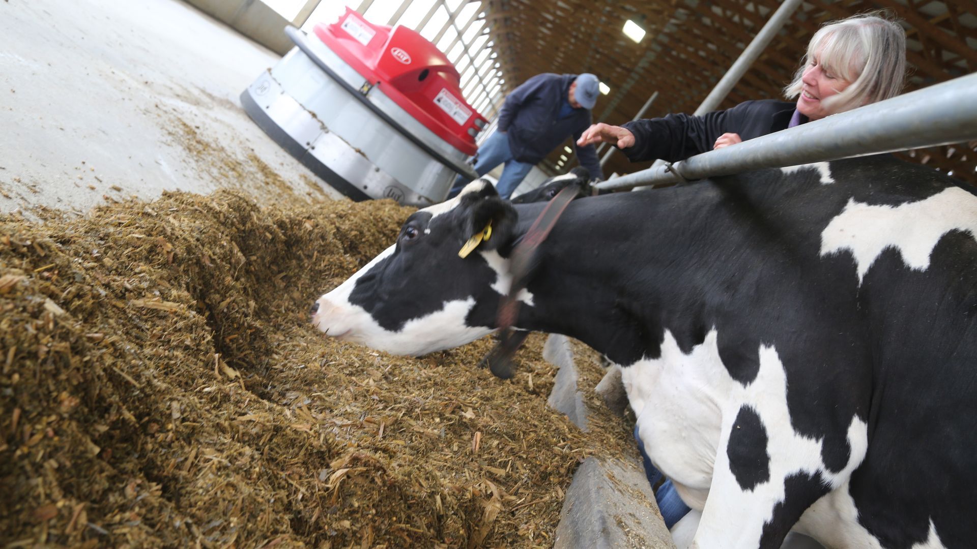 Farm Supply Harrisonburg, VA C&C