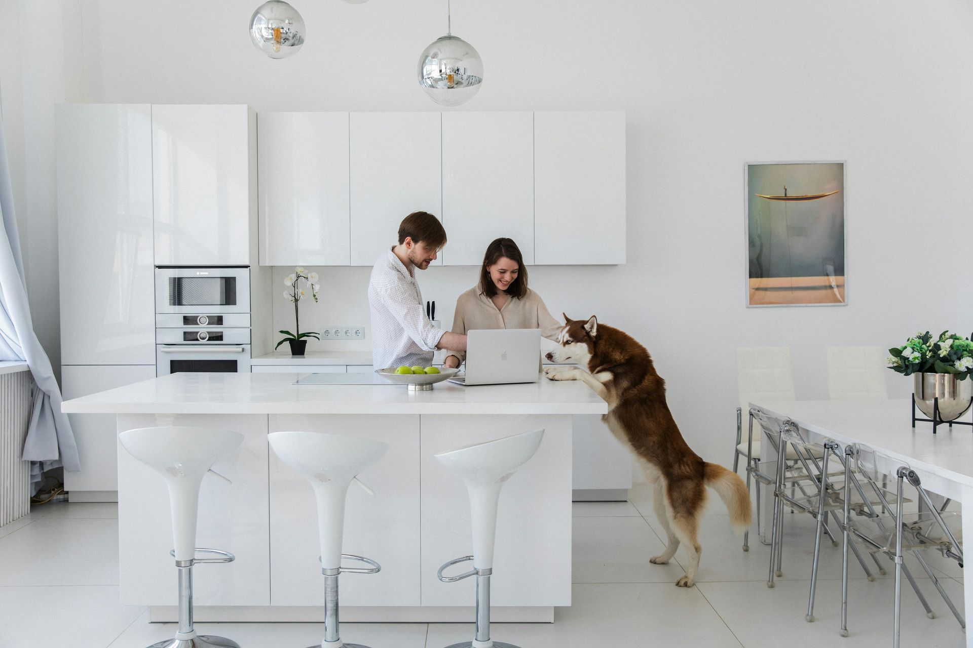 Couple working on laptop at a white kitchen island, a husky dog jumps up on it.