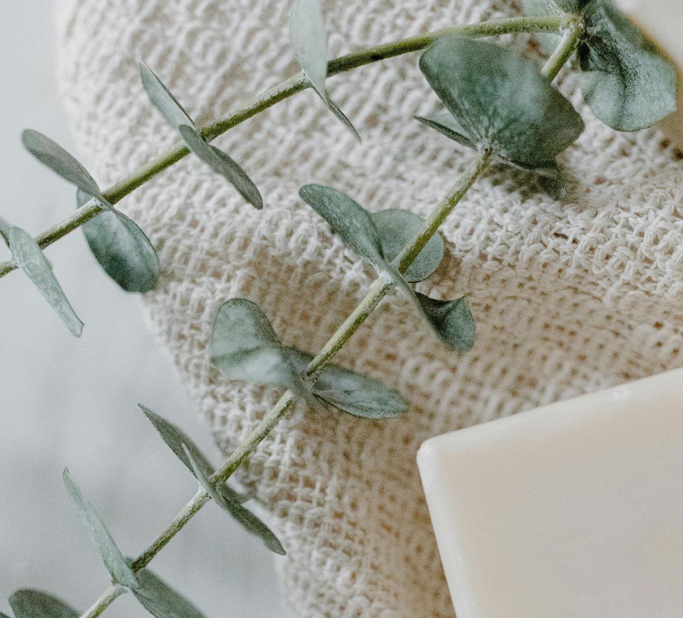 Ein Eukalyptuszweig liegt auf einem beigen Handtuch neben einem Stück heller Seife.