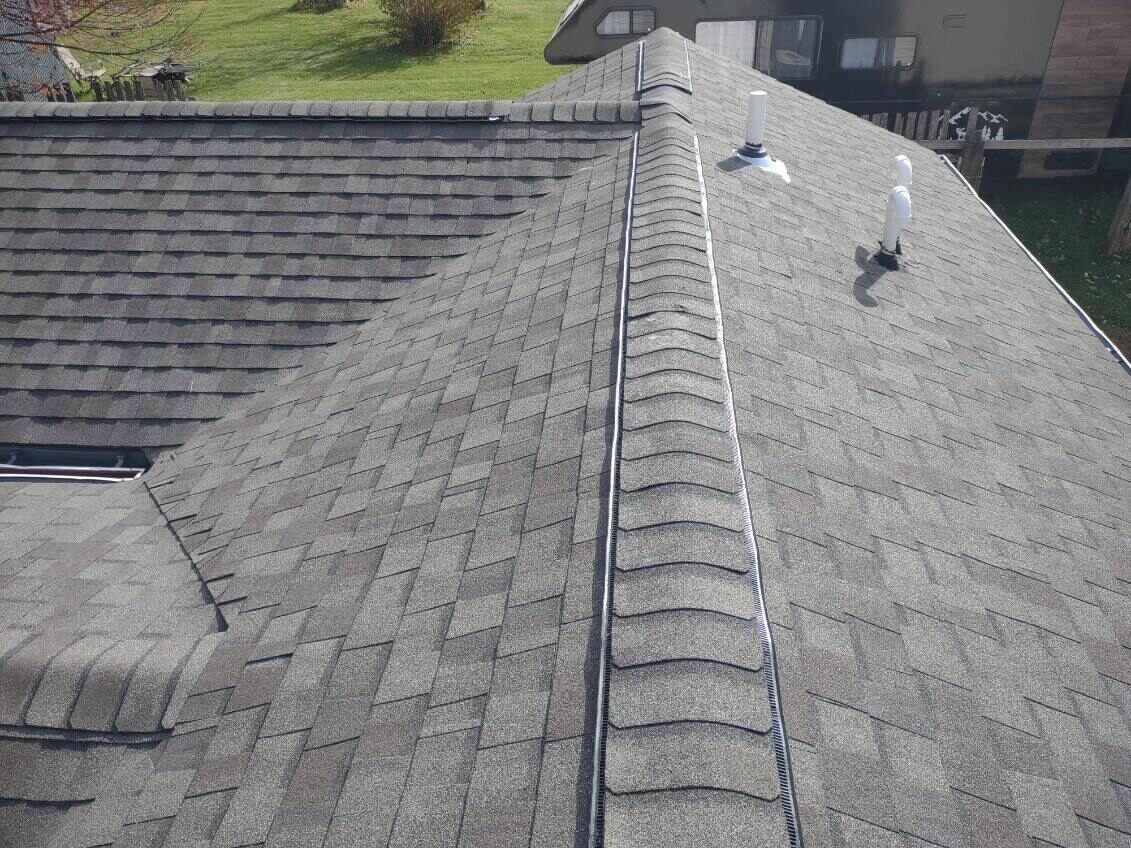 An aerial view of a roof with a bird on it.