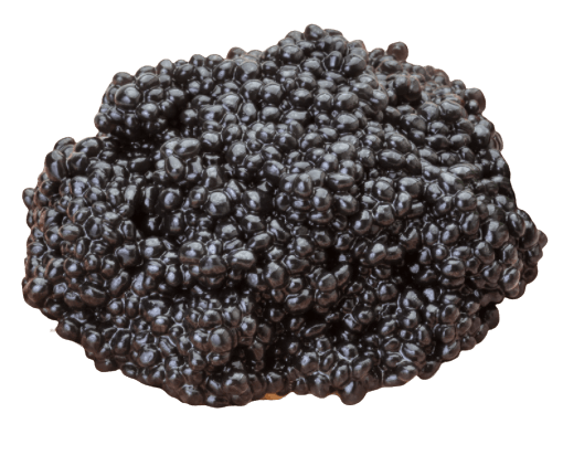 Black Caviar Tobiko