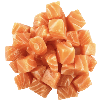 Salmon
