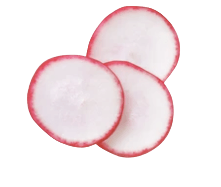 Radish