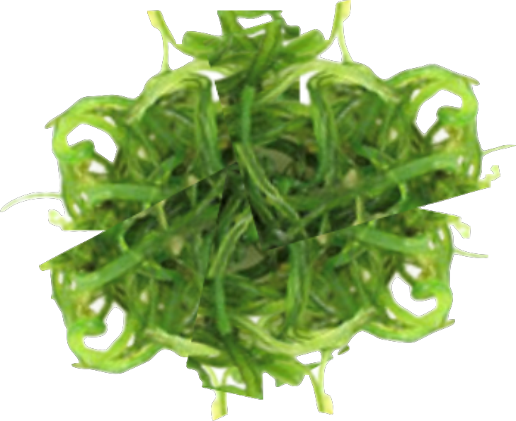 Seaweed Salad