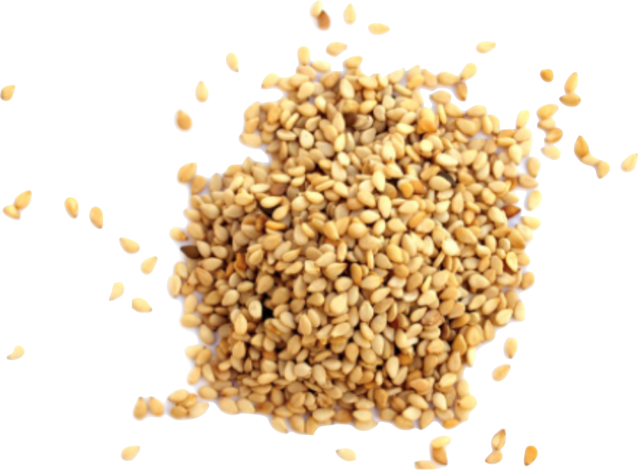 Sesame Seeds