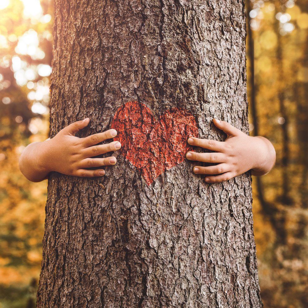 Hugging a Tree with Heart — Bryan, TX — Binford Insect Control Inc.