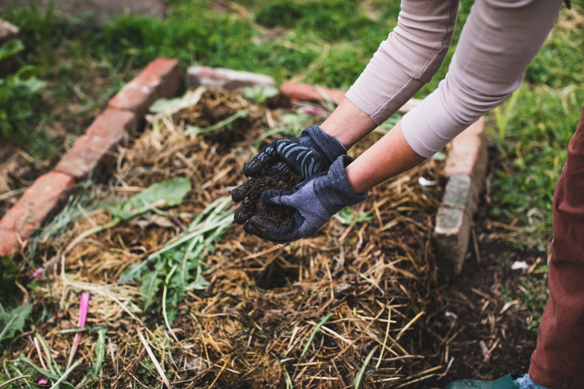 Freshly sifted compost soil to fertilize the garden.