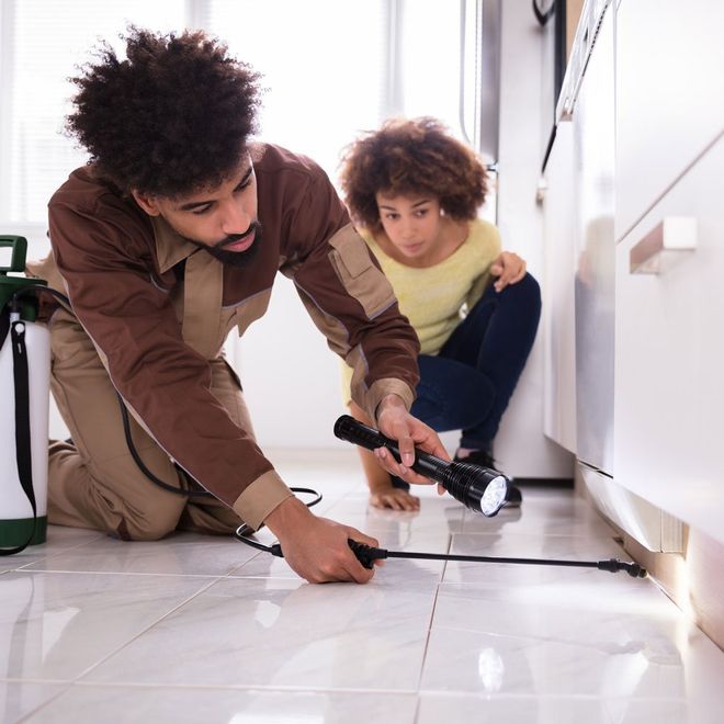 A home getting pest control services in College Station, TX