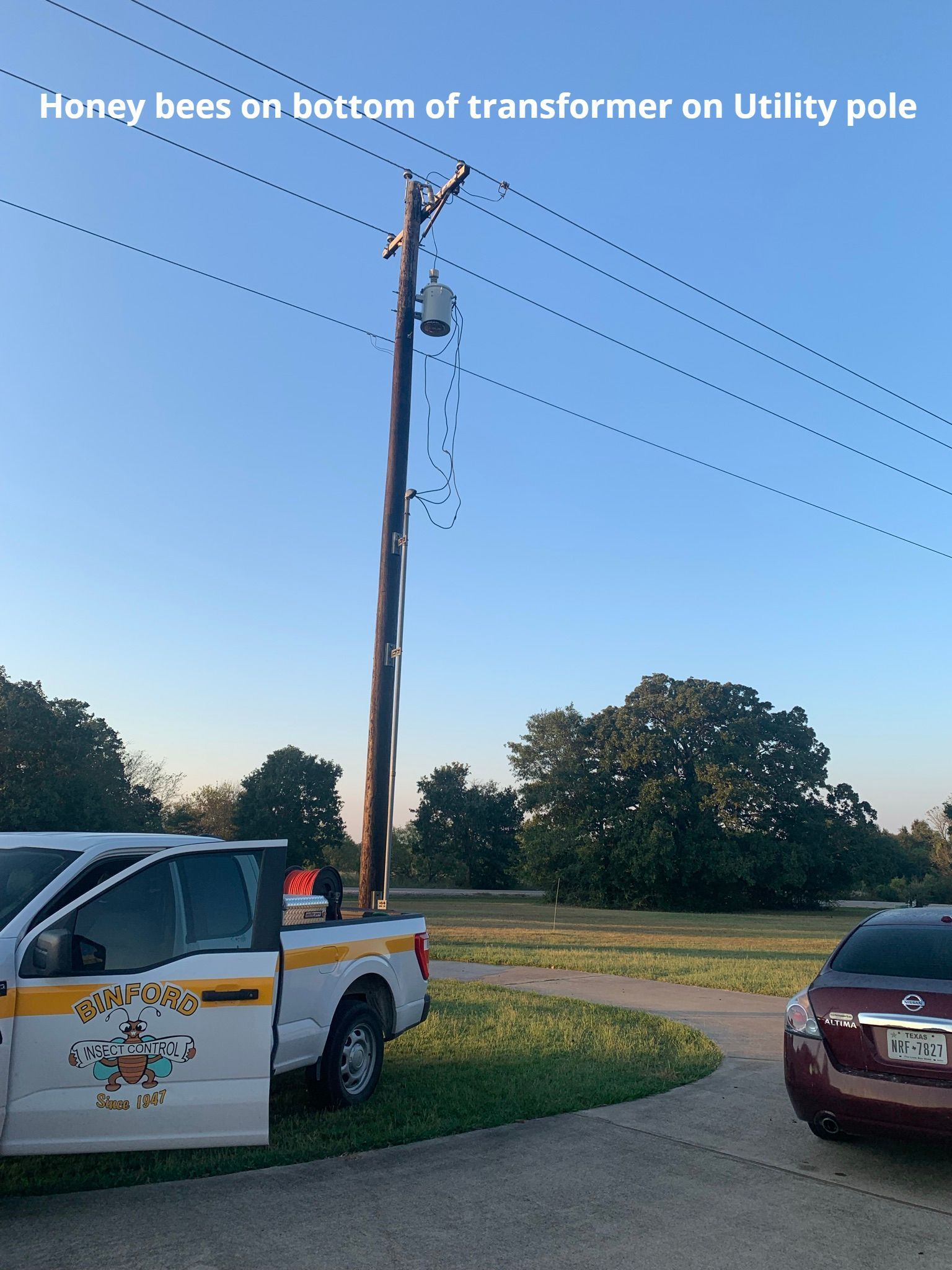 Utility pole with a transformer, honeybees at bottom, service truck and car parked on a road.