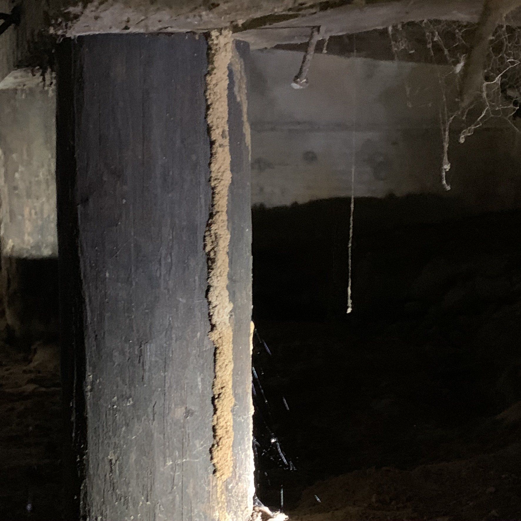 Wooden post with termite trails in a dark crawl space.