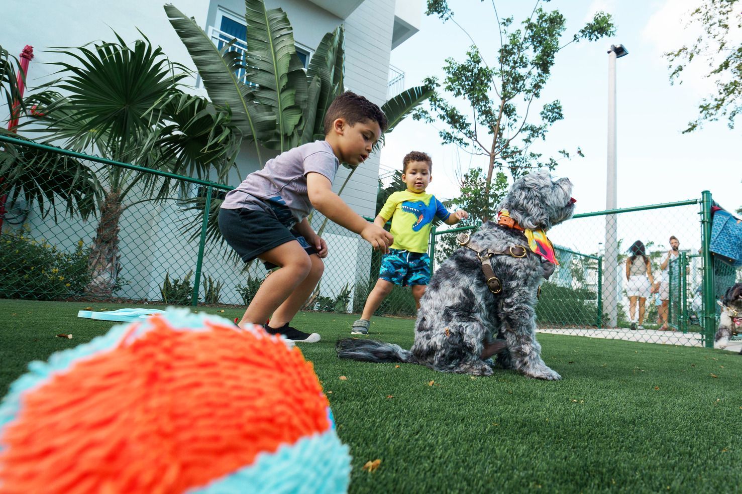 Two young boys are playing with a dog in a park.
