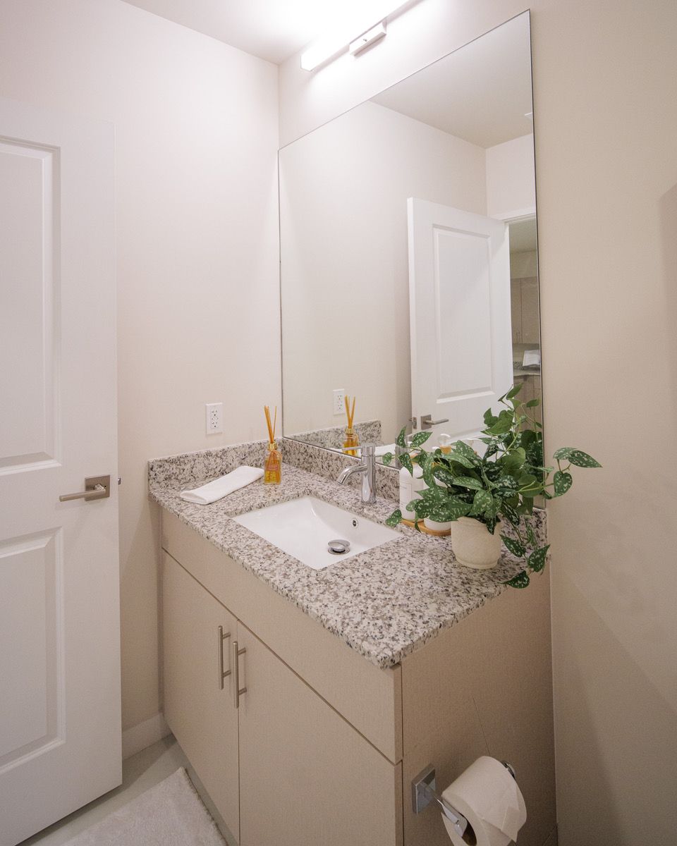 A bathroom with a sink and a large mirror