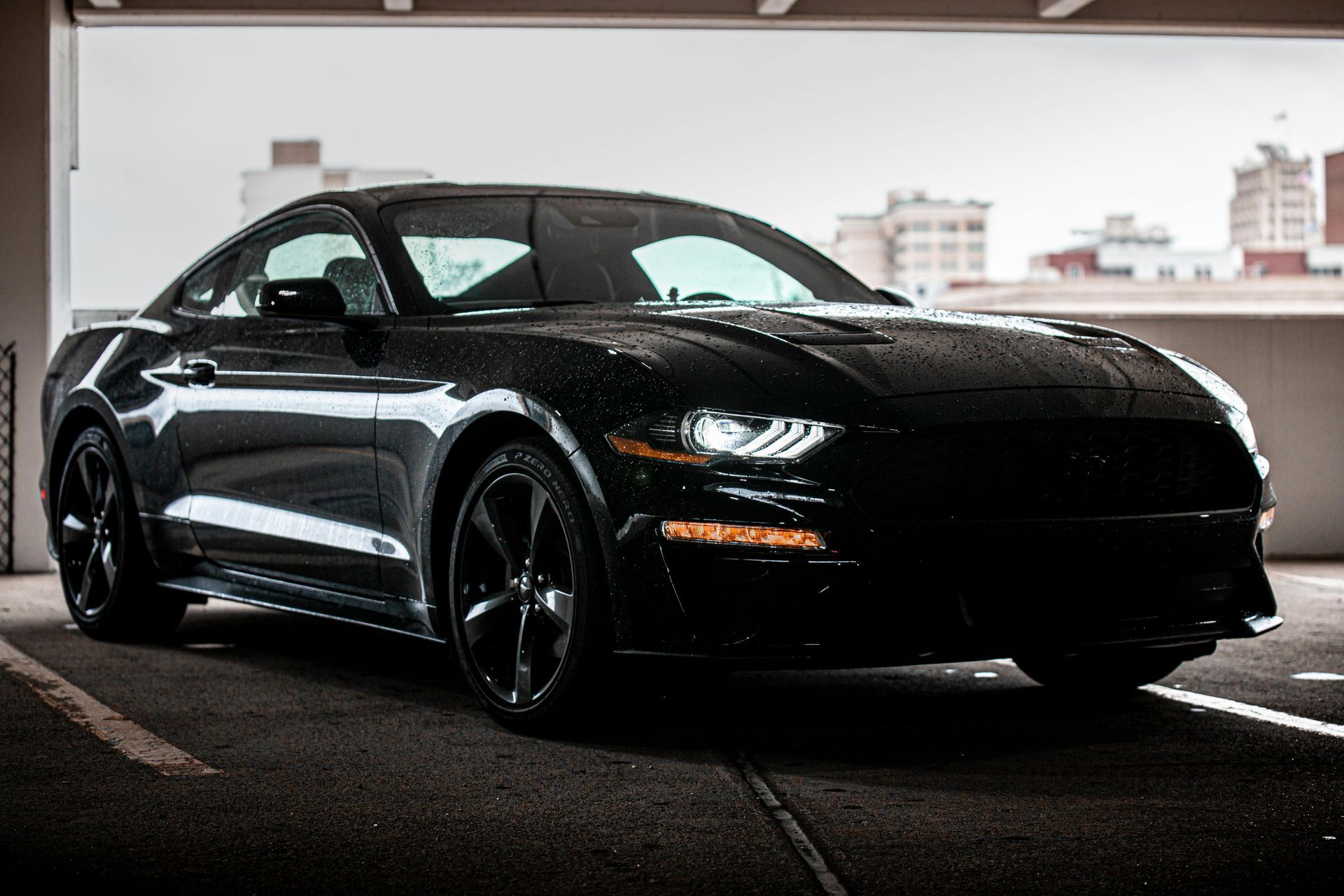 PPF installation in Novi offers lasting protection against UV rays preserving your car’s shine.