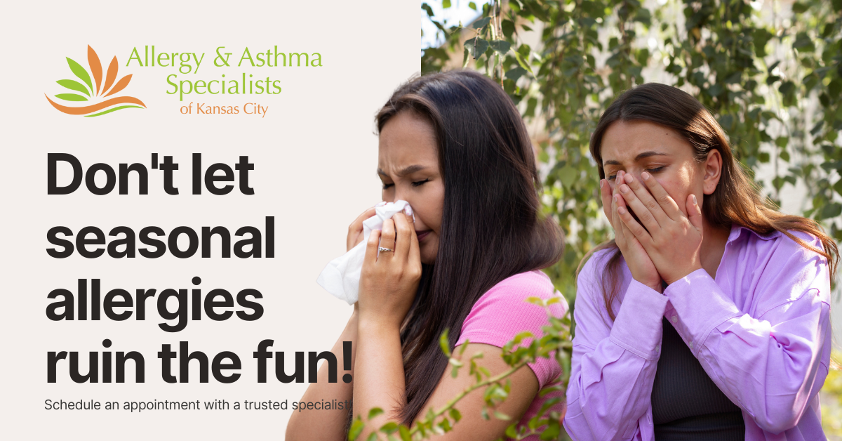 Website designers in KC