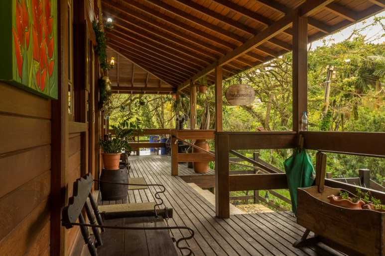 Varanda de madeira com vista para uma vegetação exuberante; cadeiras, plantas e objetos de decoração a adornam.