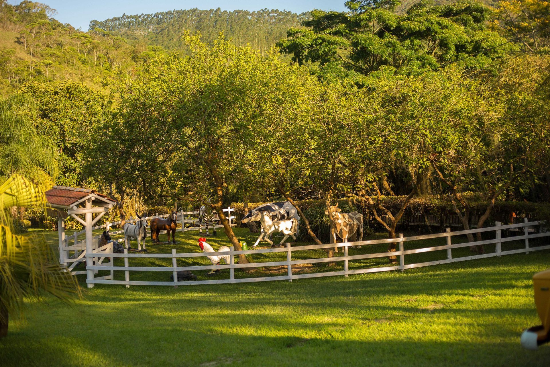 Um pátio de fazenda cercado por uma cerca branca, com animais, incluindo cavalos e um galo, sob as árvores em um dia ensolarado.
